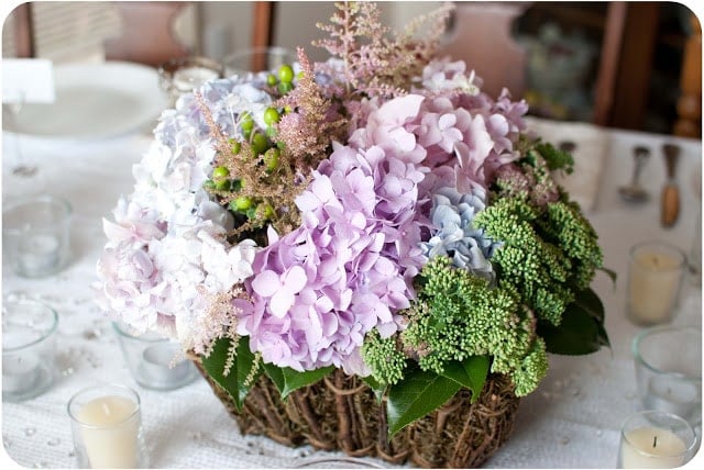 hydrangeas on table top