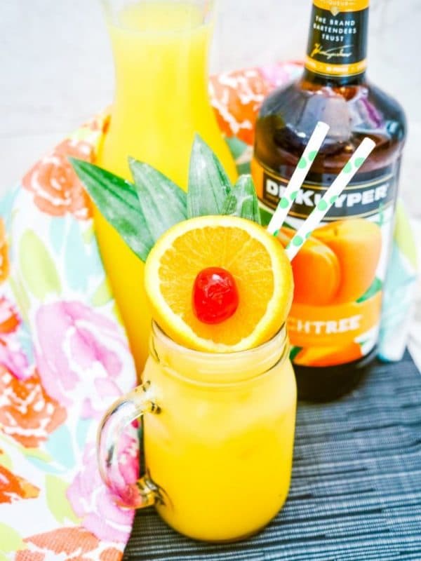 The Best Juices to Mix with Vodka Best Vodka Mixers