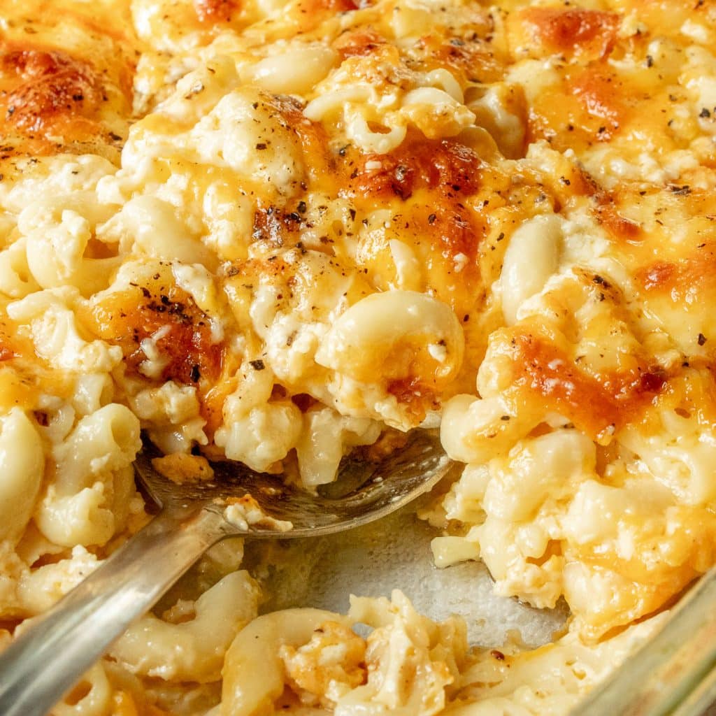 creamy southern macaroni and cheese