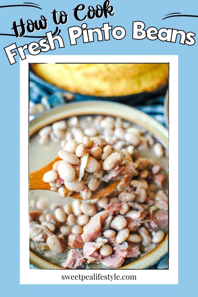 How to Cook Fresh Pinto Beans Pinto Beans Recipe