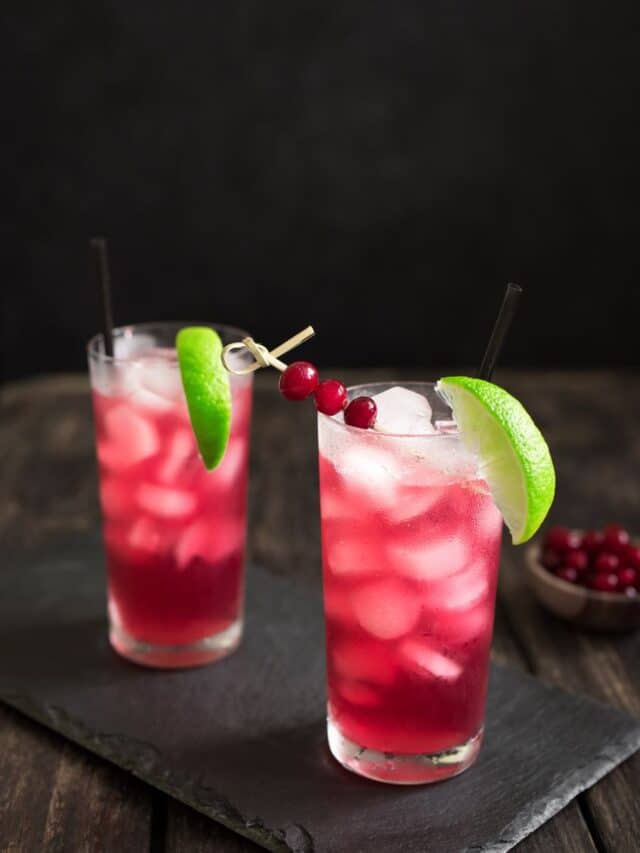 The Best Juices to Mix with Vodka Best Vodka Mixers