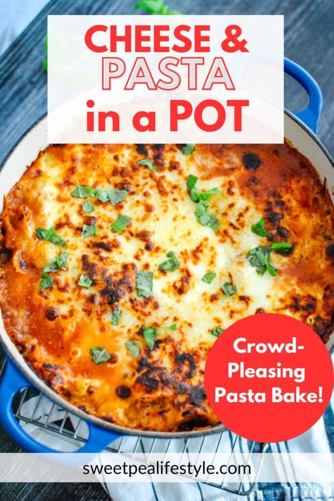 cheese and pasta in a pot for a crowd