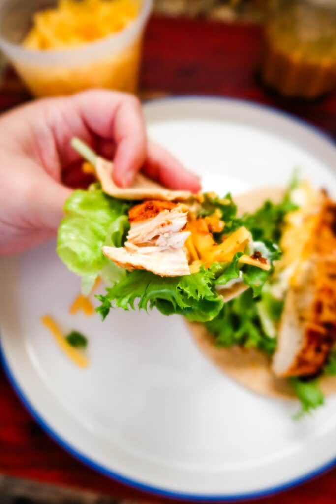 Overhead view of freshly assembled chicken snack wraps on a white plate.
