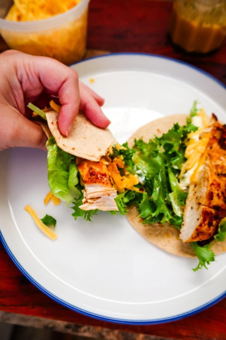 air fryer chicken snack wraps