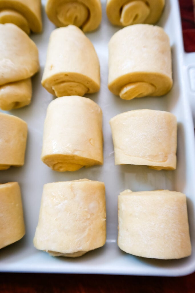 Close-up photo of rolled Parkerhouse roll dough pieces lined up before rising.