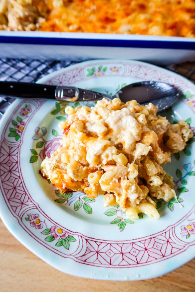 A plated portion of creamy baked macaroni and cheese on a vintage floral dish.