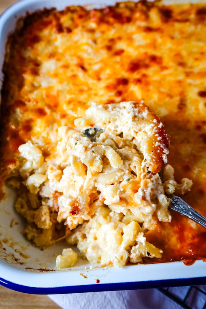 A spoon scooping creamy baked macaroni and cheese from a golden casserole.
