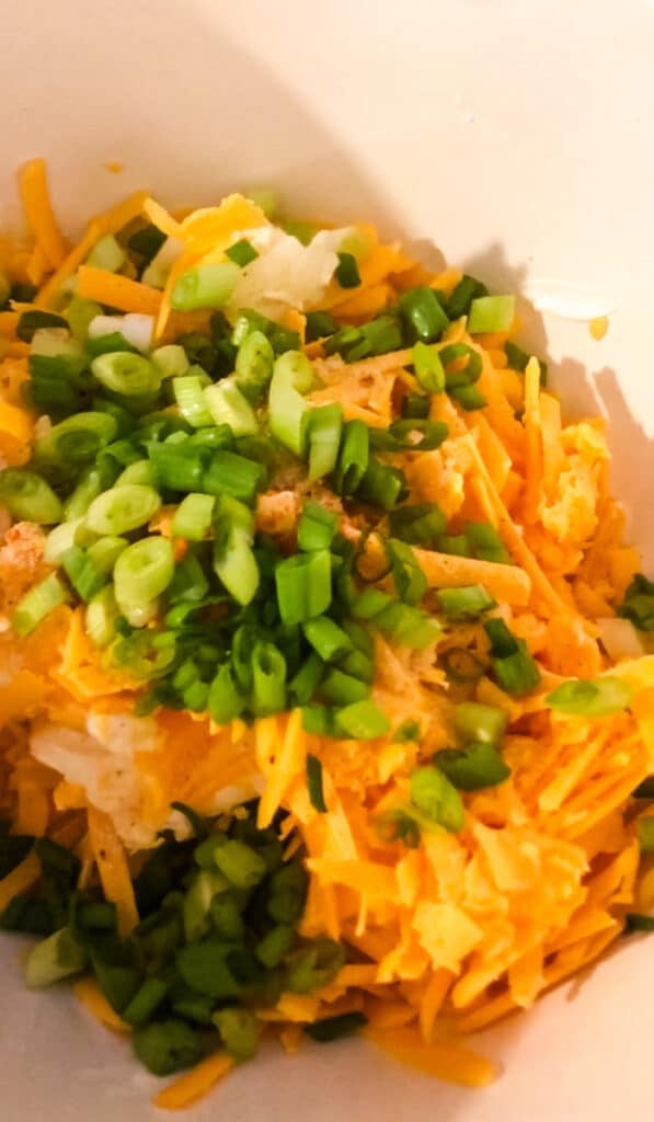 Cream cheese, shredded cheddar cheese, diced Vidalia onion, green onions, and seasoning in a mixing bowl for making an easy Green Onion Cheeseball appetizer recipe.